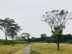 -盘龙城国家考古遗址公园