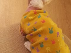 -猫腻·猫咖·撸猫馆(星光大道店)