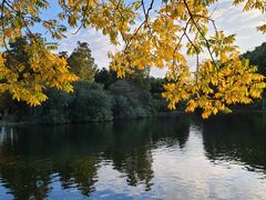 -上海共青森林公园