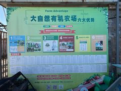 -大自然农场蔬菜草莓采摘园