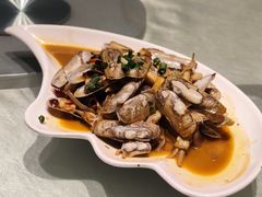 蛏子-华盛丰温州大排档(东三环南路店)