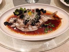 -龙悦湾酒家·八阵鱼生·渔人码头店