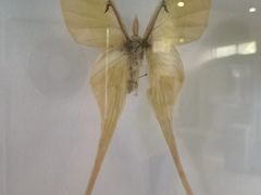 -上海昆虫博物馆