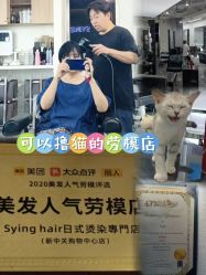 -Sying杉影日式烫染專門店