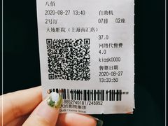 -大地影院(上海南汇店)