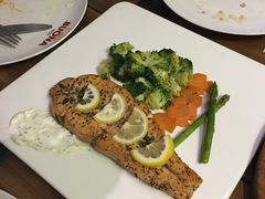 -百好乐宠物友好餐厅(朝外大街店)