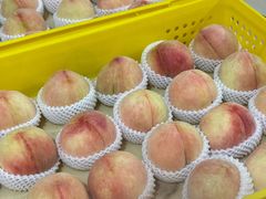 -老袁家蜜桃农场·阳山水蜜桃