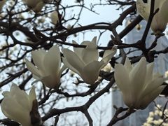 -人民广场