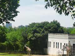 -合肥野生动物园