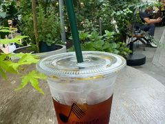 -concerto协奏曲咖啡店