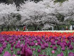-苏州上方山国家森林公园