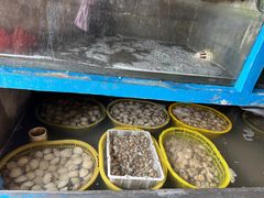 -鸿港海鲜批发市场