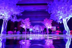 点击看大图 -上海雅居乐万豪侯爵酒店·宴会厅