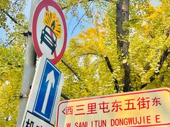 -三里屯东五街银杏大道