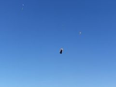 -长春公园(普阳街道)