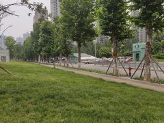 -龙头寺公园