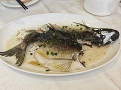 油盐蒸瘦水鲩鱼-百乐门喜宴(海珠广场华厦店)