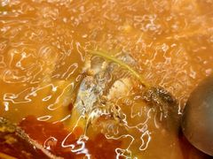 -芦苇荡·酸汤鱼(回龙观店)
