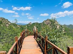 -大岭沟猕猴桃谷风景区