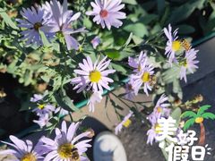 -燕郊植物园