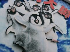 -海合安成都极地海洋公园
