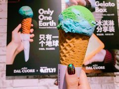 OATLY燕麦地球-Dal Cuore 达可芮冰淇淋(陕西北路店)