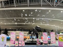 -青岛胶东国际机场