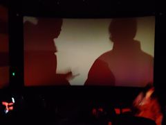 -金逸影城(武汉人信汇IMAX店)