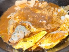 鲶鱼-肥鱼屯活鱼锅(惠工街店)