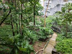 -香港大学