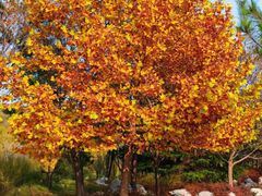 -羊亭河湿地公园