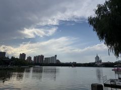 -莲花池公园