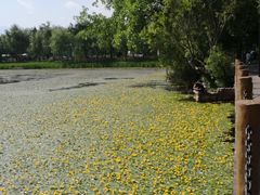 -西昌邛海宾馆