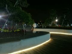 -演武大桥观景平台