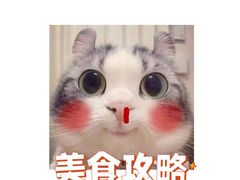 -首尔烤肉大排档(合生汇店)