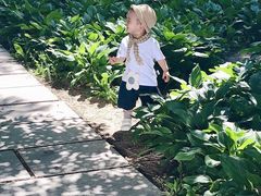 -长春公园(普阳街道)