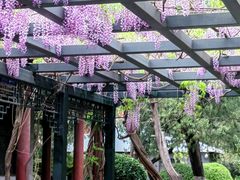 -北京市劳动人民文化宫(太庙)