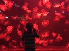 -石家庄极地海洋世界