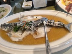 -老洋房花园饭店(绍兴路店)