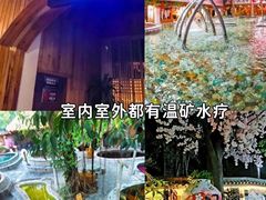 -观澜山水田园