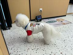 -瑞派康怡24h宠物医院·犬猫医疗中心·微创绝育(瑞景分院)