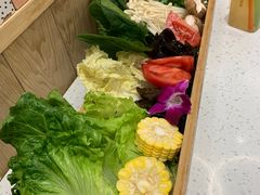-若爱猪肚鸡·啫啫煲(循礼门M+店)