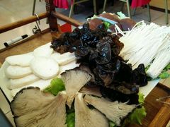 -芦月轩羊蝎子(北蜂窝店)