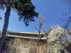 -潭柘寺景区
