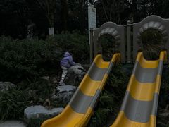 -杭州少年儿童公园
