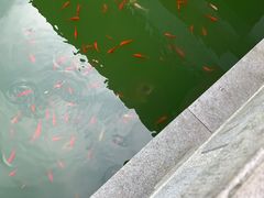 -穹窿山景区