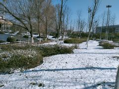 -南京中医药大学(仙林校区)