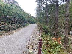 -北京密云天门山风景区