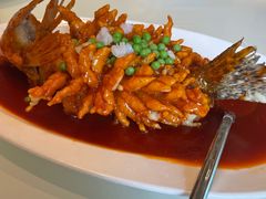 松鼠桂鱼-玫瑰厅上海菜(兴国路店)