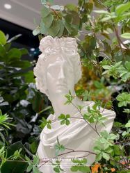 -MuseMarry婚纱(前海嘉里中心店)